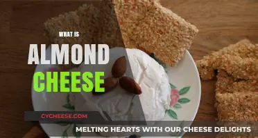 Discover Almond Cheese: A Vegan, Nut-Based Dairy Alternative Explained