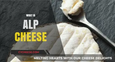 Discover the Rich Flavors and Origins of Alp Cheese