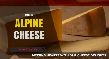 Exploring Alpine Cheese: Origins, Characteristics, and Culinary Uses