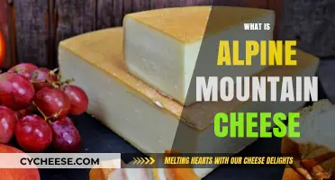 Exploring Alpine Mountain Cheese: Origins, Flavor, and Culinary Uses