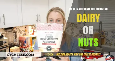 Dairy-Free, Nut-Free Cheese Alternatives: Discover Tasty Plant-Based Options