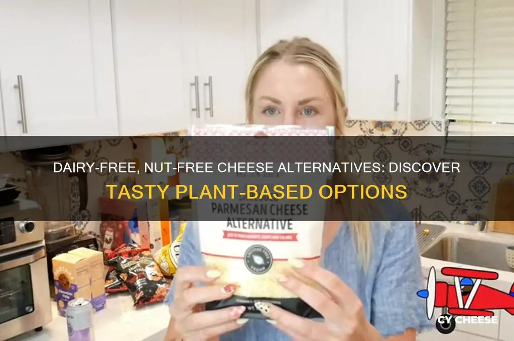 what is alternate for cheese no dairy or nuts