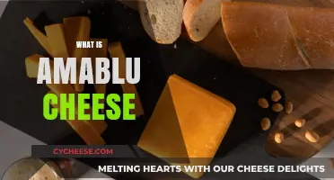 Discovering AmaBlu Cheese: Origins, Flavor, and Culinary Uses Explained