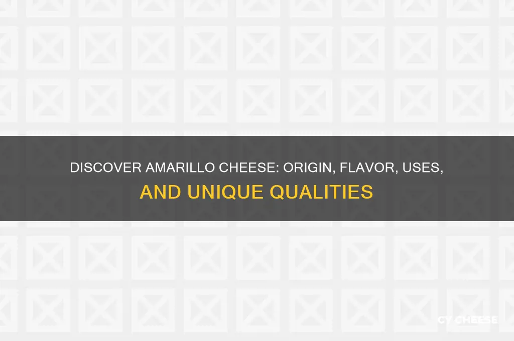 what is amarillo cheese