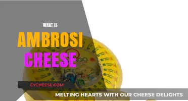 Discover Ambrosi Cheese: A Rich, Creamy Italian Delight Explained