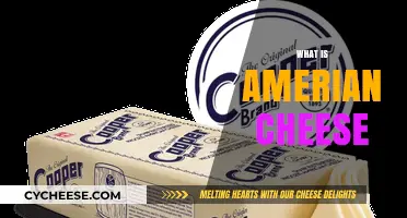Understanding American Cheese: Origins, Uses, and Cultural Significance