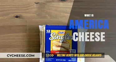 Understanding America's Iconic Cheese: History, Uses, and Cultural Impact