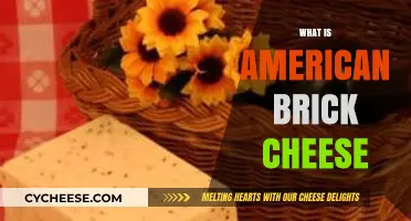 Discover the Unique Flavor and History of American Brick Cheese
