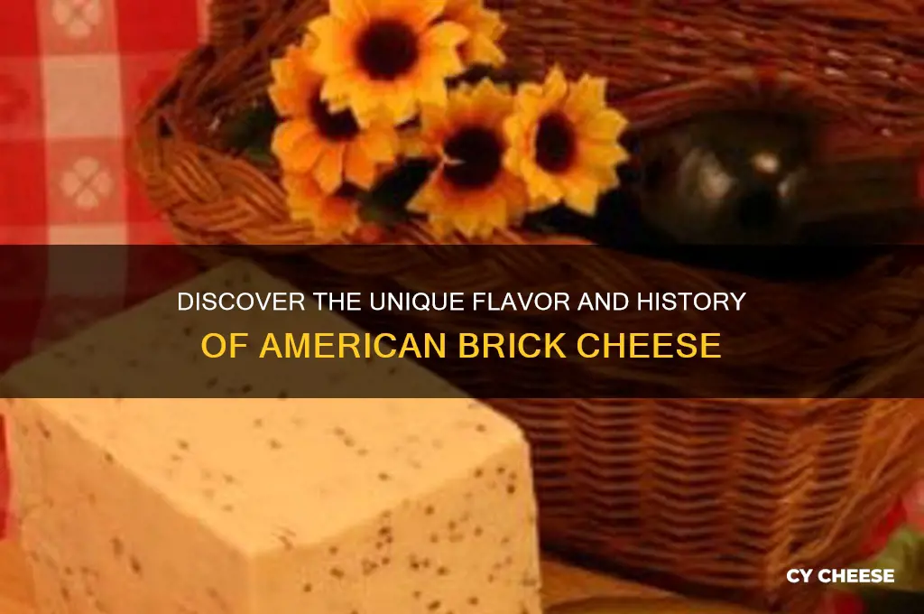 what is american brick cheese