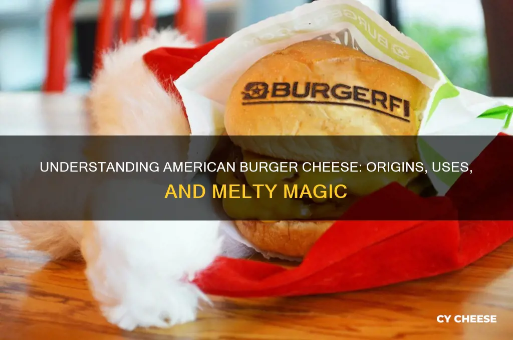what is american burger cheese