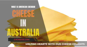 Exploring the Australian Cheddar: A Guide to American Cheddar's Down Under Adventure