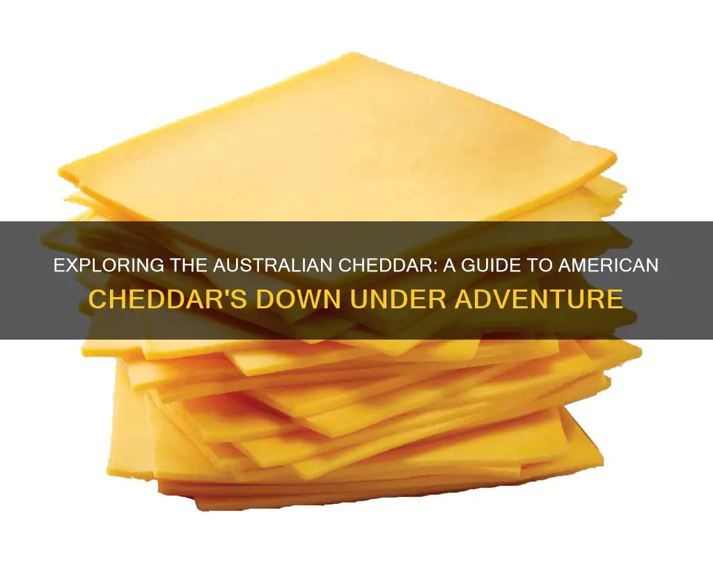 what is american cheddar cheese in australia