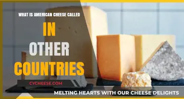 American Cheese Abroad: Global Names for the Iconic U.S. Staple