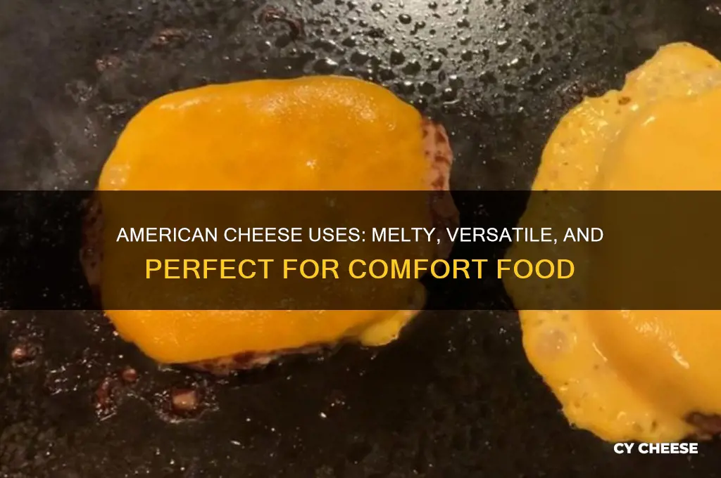 what is american cheese good for