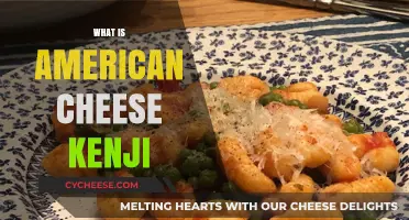 Understanding American Cheese: Kenji's Insights on Its Origin and Uses