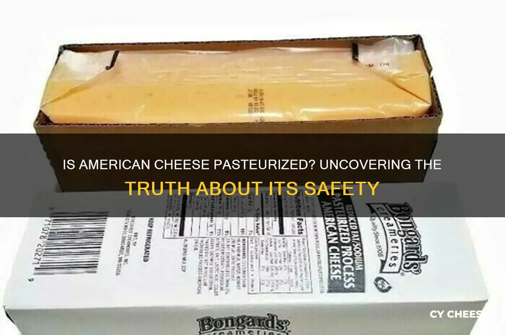 what is american cheese pasteurized