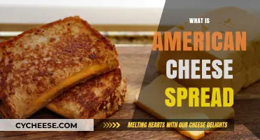 Understanding American Cheese Spread: Ingredients, Uses, and Popular Brands
