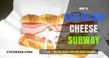 What is American Cheese at Subway? A Tasty Explanation