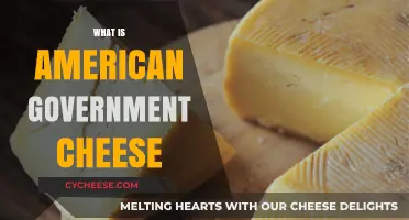 Understanding American Government Cheese: History, Purpose, and Impact Explained
