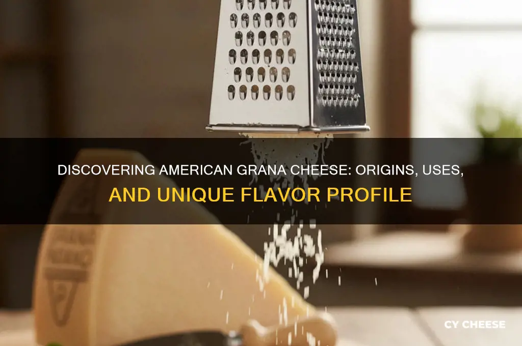 what is american grana cheese