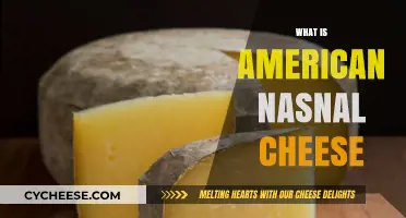Understanding American National Cheese: Origins, Varieties, and Culinary Uses