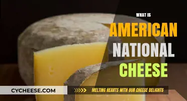 Exploring the Melty Mystery: What is American National Cheese?