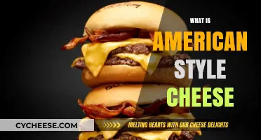 Understanding American Style Cheese: Origins, Uses, and Unique Characteristics