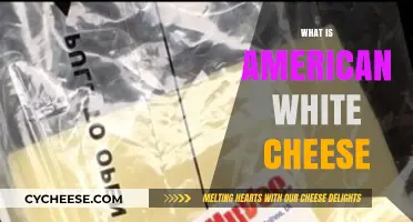 Exploring American White Cheese: Origins, Uses, and Unique Flavor Profile
