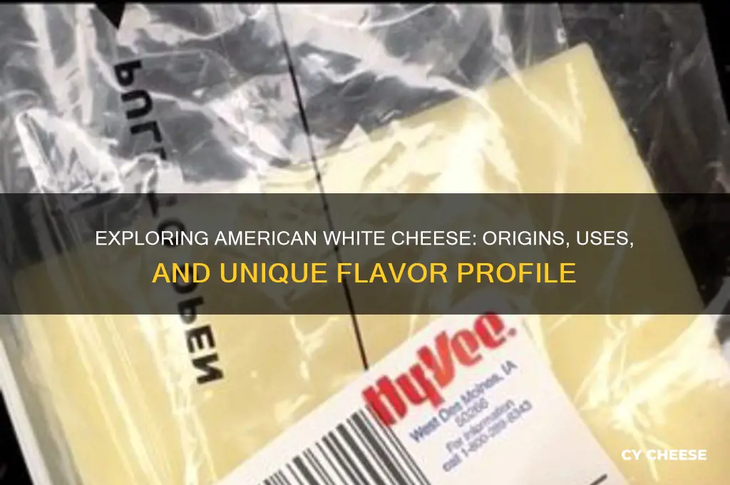 what is american white cheese