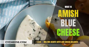 The Unique Flavor of Amish Blue Cheese
