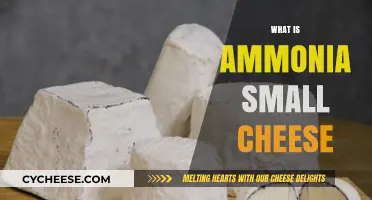 Understanding Ammonia's Role in Small Cheese Production and Flavor