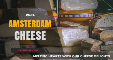 Discovering Amsterdam Cheese: Origins, Flavors, and Culinary Uses Explained