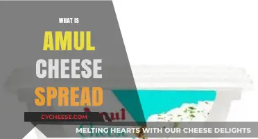 Discover the Creamy Delight: What is Amul Cheese Spread?