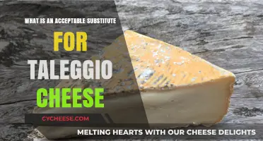 Taleggio Cheese Alternatives: Best Substitutes for Your Recipes