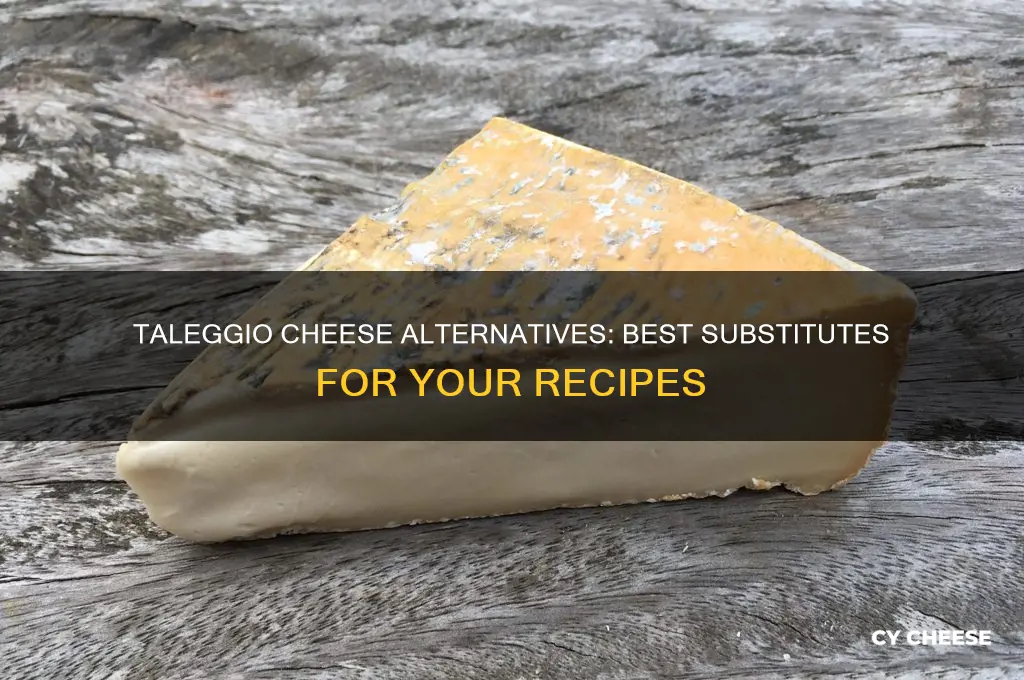 what is an acceptable substitute for taleggio cheese