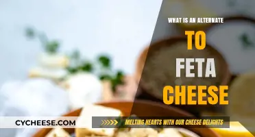 Feta Cheese Alternatives: Similar Cheeses to Try