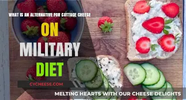 Military Diet Swap: Best Cottage Cheese Alternatives for Weight Loss