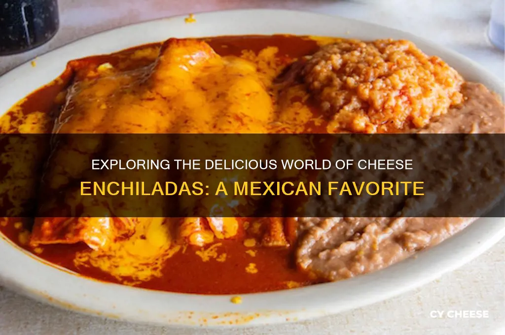 what is an cheese enchalada