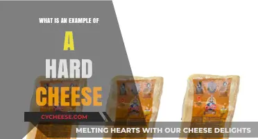Exploring Hard Cheeses: A Classic Example and Its Unique Qualities
