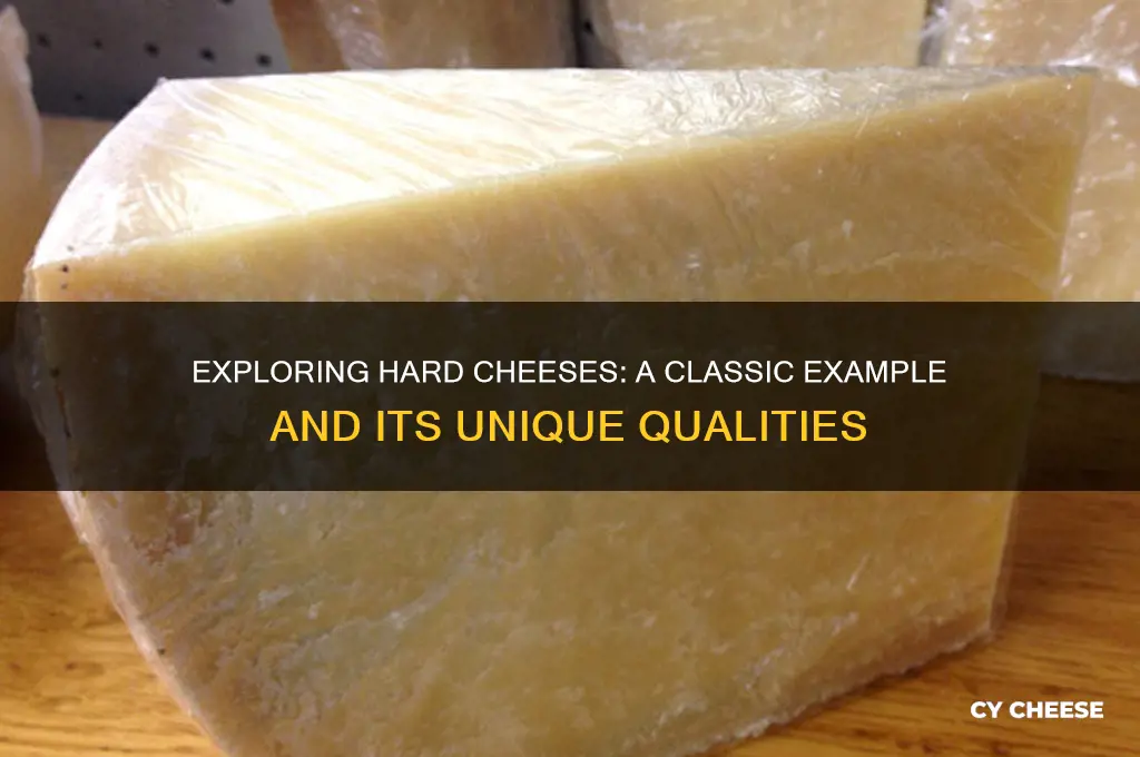 what is an example of a hard cheese
