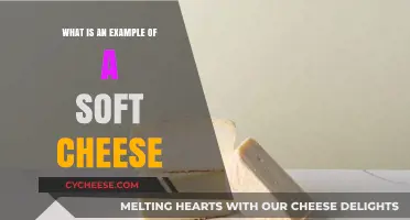 Creamy Delights: Discovering the Perfect Soft Cheese Example