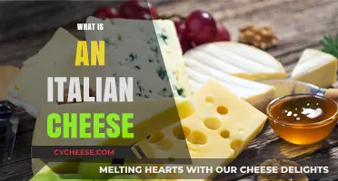 Exploring the Rich Flavors and Varieties of Authentic Italian Cheese