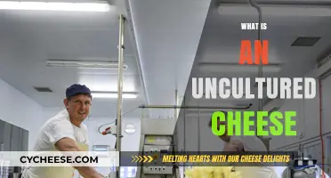 Uncultured Cheese Explained: Understanding Its Unique Flavor and Production