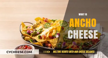 Discover Ancho Cheese: Origins, Flavor, Uses, and Culinary Magic