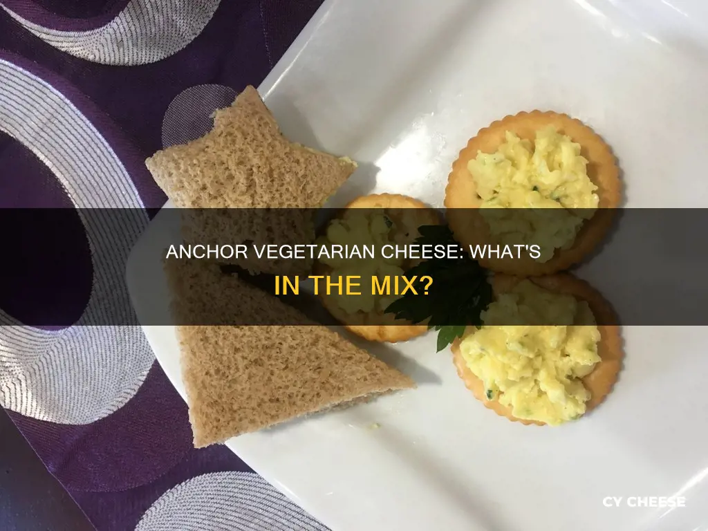 what is anchor vegetarian cheese made of
