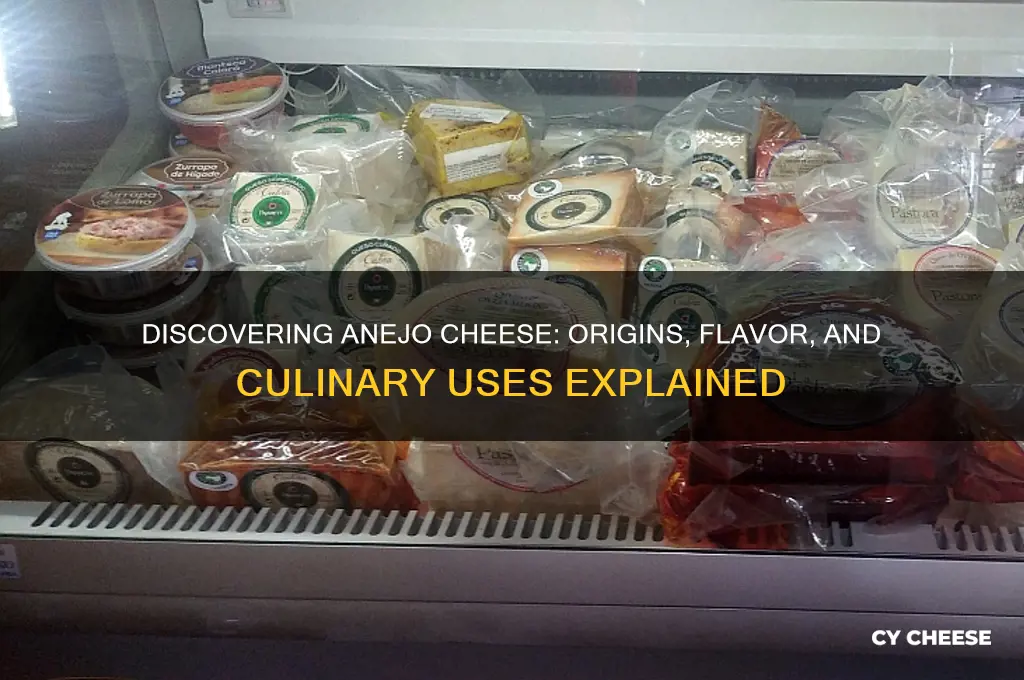 what is anejo cheese