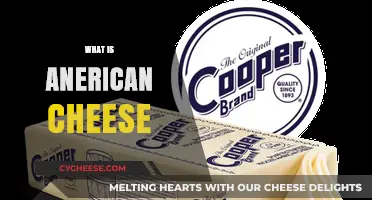 Understanding American Cheese: Origins, Uses, and Cultural Significance
