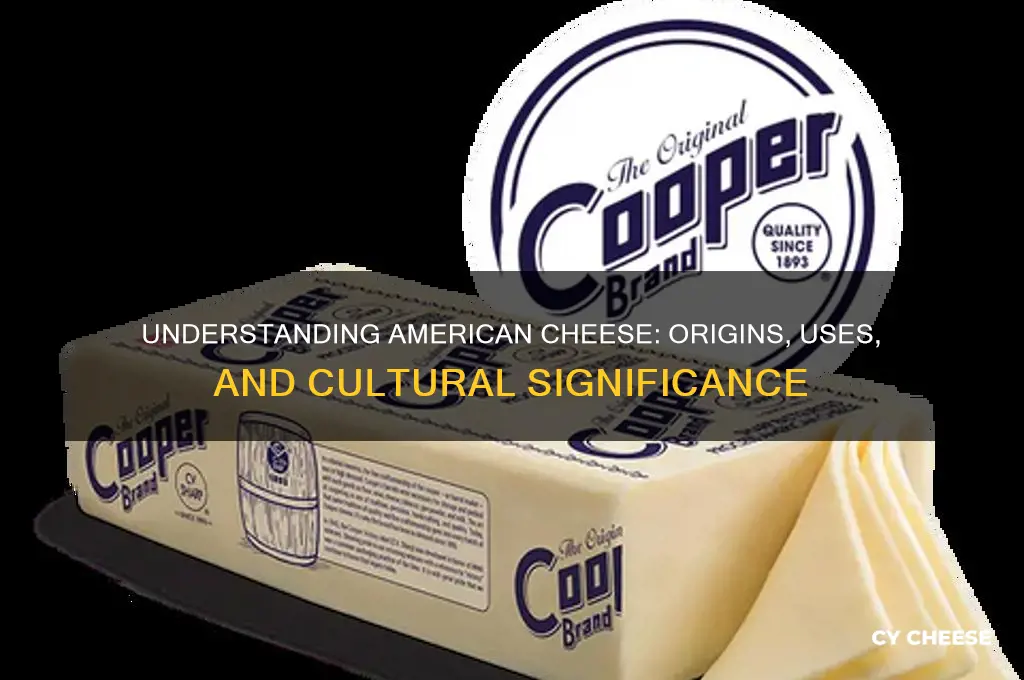 what is anerican cheese