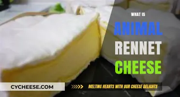 Understanding Animal Rennet Cheese: Origins, Uses, and Ethical Considerations