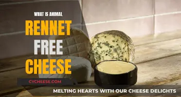 Rennet-Free Cheese: Animal-Friendly Deliciousness